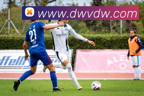 星空体育综合链接平台生态图